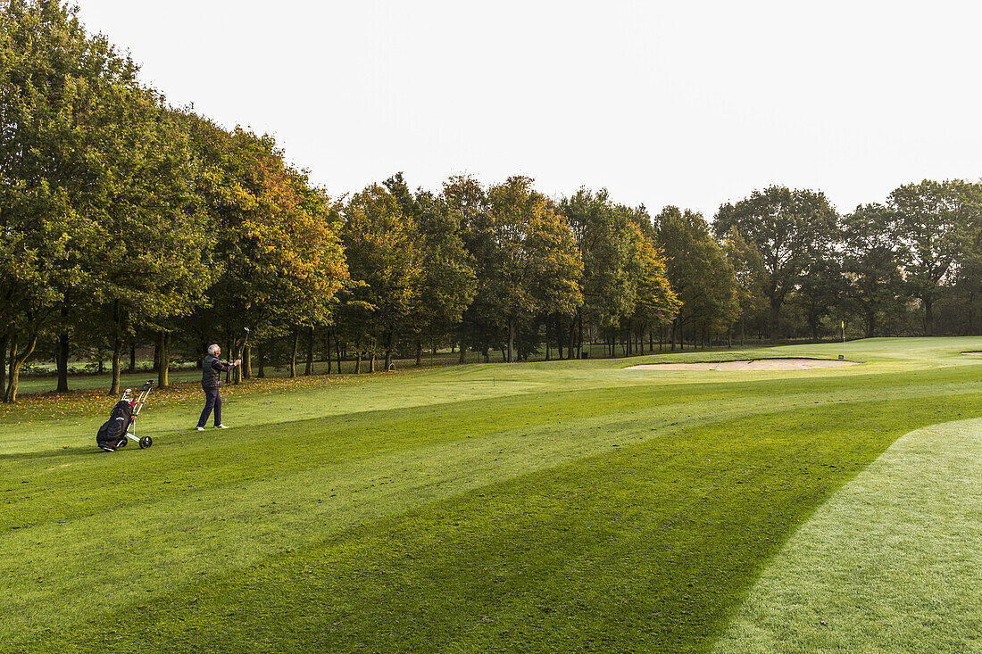 golf player on the fairway on a golf course near Hamburg, north Germany, Germany