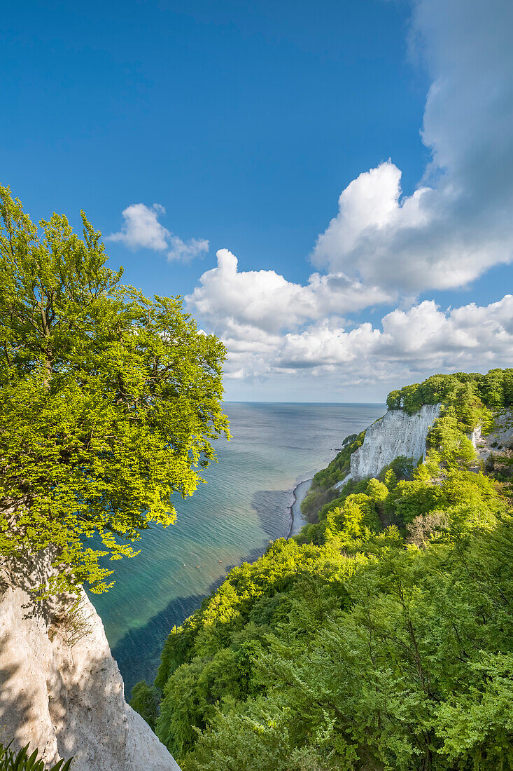 Blick vom Königsstuhl, Stubbenkammer, Nationalpark Jasmund, Rügen, Mecklenburg-Vorpommern, Deutschland