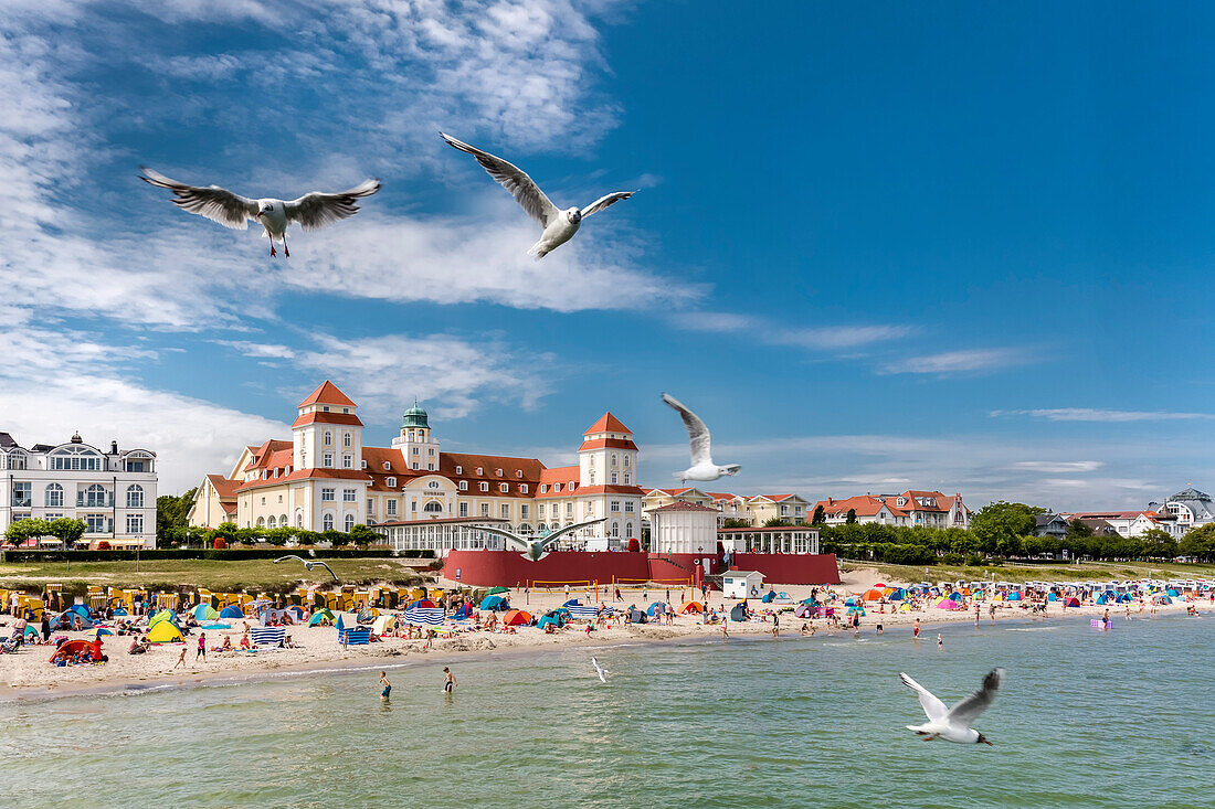 Seagulls and Kurhaus, Binz, Rügen Island, Mecklenburg-Western Pomerania, Germany
