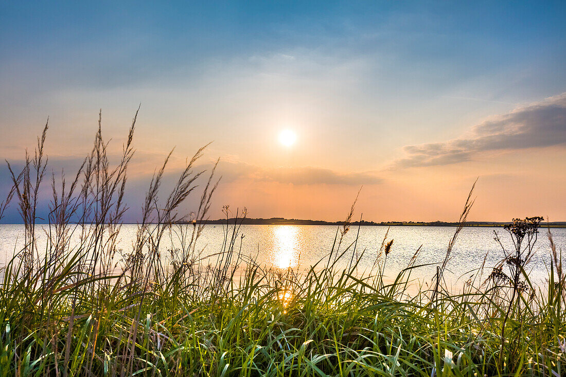 Sunset, Gager, Moenchgut, Ruegen Island, Mecklenburg-Western Pomerania, Germany