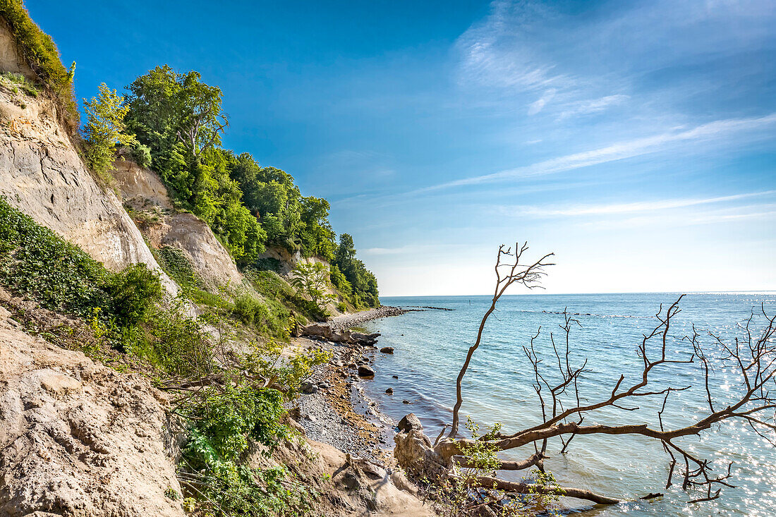 Kreidefelsen bei Sassnitz, Nationalpark Jasmund, Rügen, Mecklenburg-Vorpommern, Deutschland