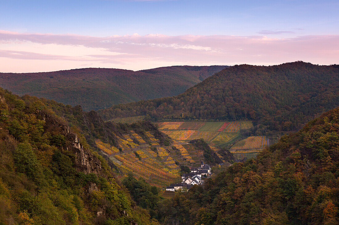Rocky landscape of the Ahr valley, vineyards  near  Reimerzhoven, Ahrsteig hiking trail, Rotweinwanderweg hiking trail, Ahr, Rhineland-Palatinate, Germany