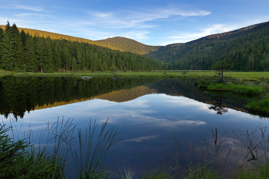 Kleiner Arbersee, Blick zum Großen Arber, Bayrischer Wald, Bayern, Deutschland