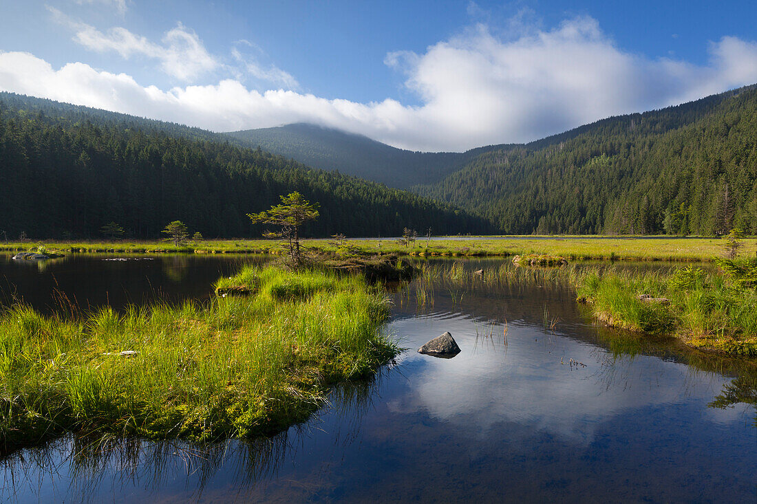 Kleiner Arbersee, Blick zum Großen Arber, Bayrischer Wald, Bayern, Deutschland