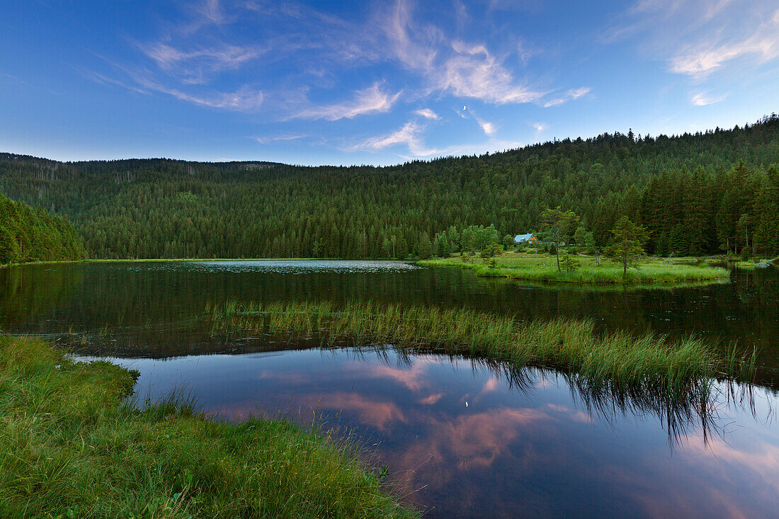 Kleiner Arbersee, Bavarian Forest, Bavaria, Germany