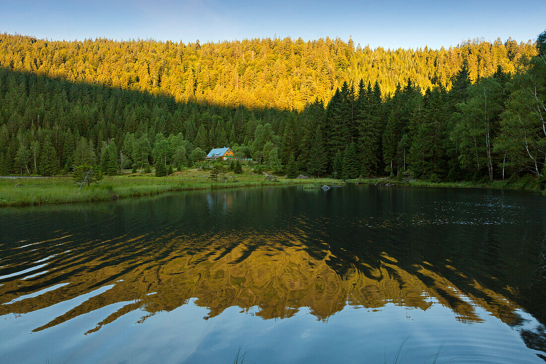 Kleiner Arbersee, Blick zum Seehäusel, Bayrischer Wald, Bayern, Deutschland