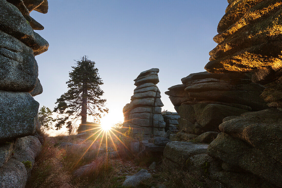 Sunrise, Dreisessel mountain, Bavarian Forest, Bavaria, Germany