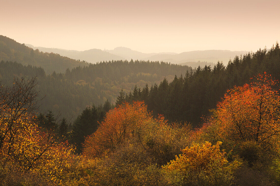 View over the wooded hills, near Hoenningen, Eifel, Rhineland-Palatinate, Germany