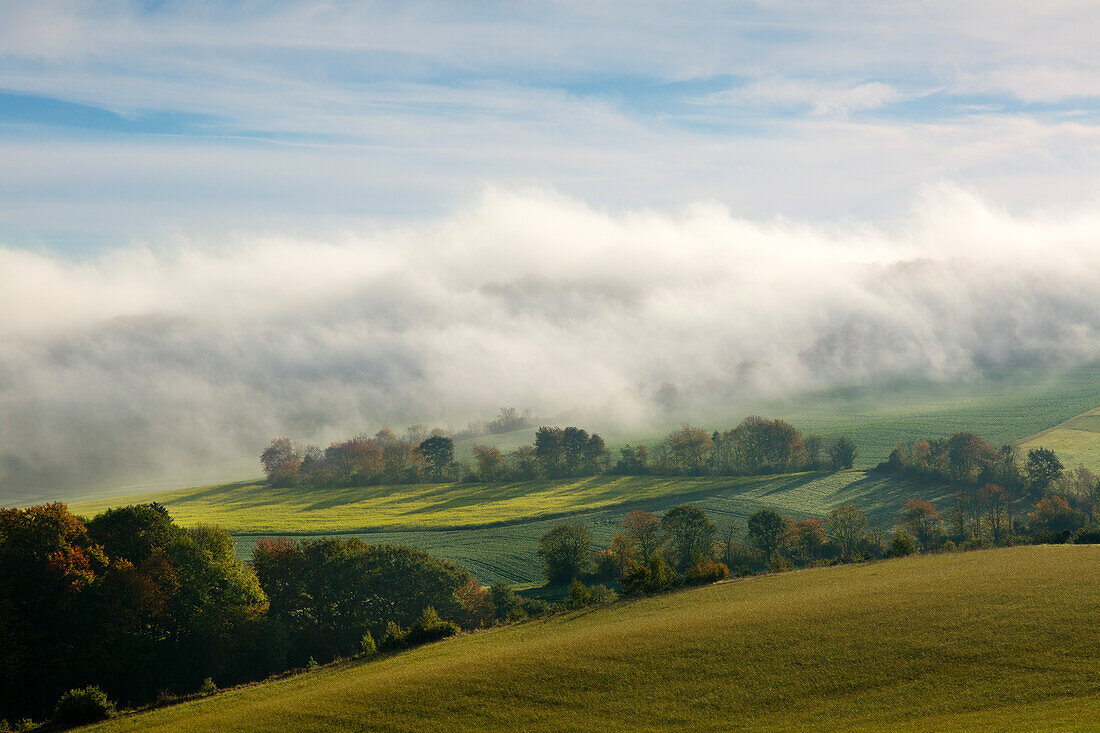Morning mist over the fields, near Niederzissen, Eifel, Rhineland-Palatinate, Germany