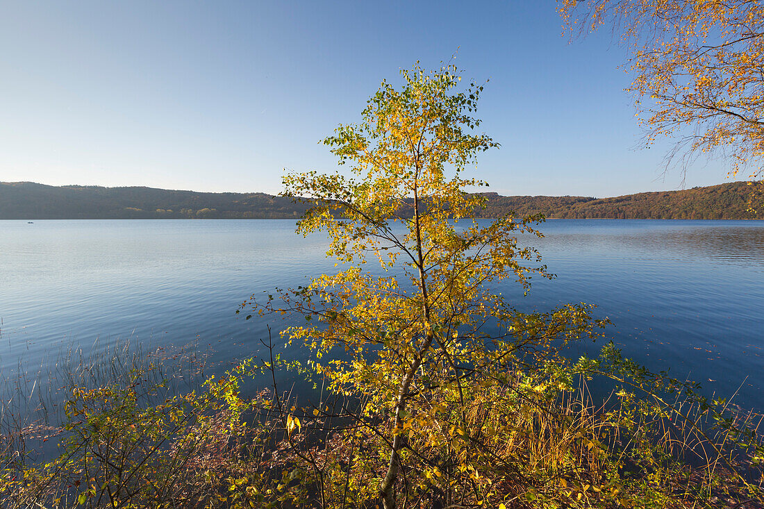 Am Laacher See, bei Maria Laach, Eifel, Rheinland-Pfalz, Deutschland