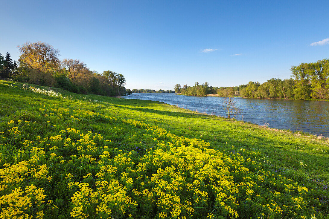 Birtener Altrhein, old arm of the Rhine river, near Xanten, Lower Rhine, North-Rhine Westphalia, Germany