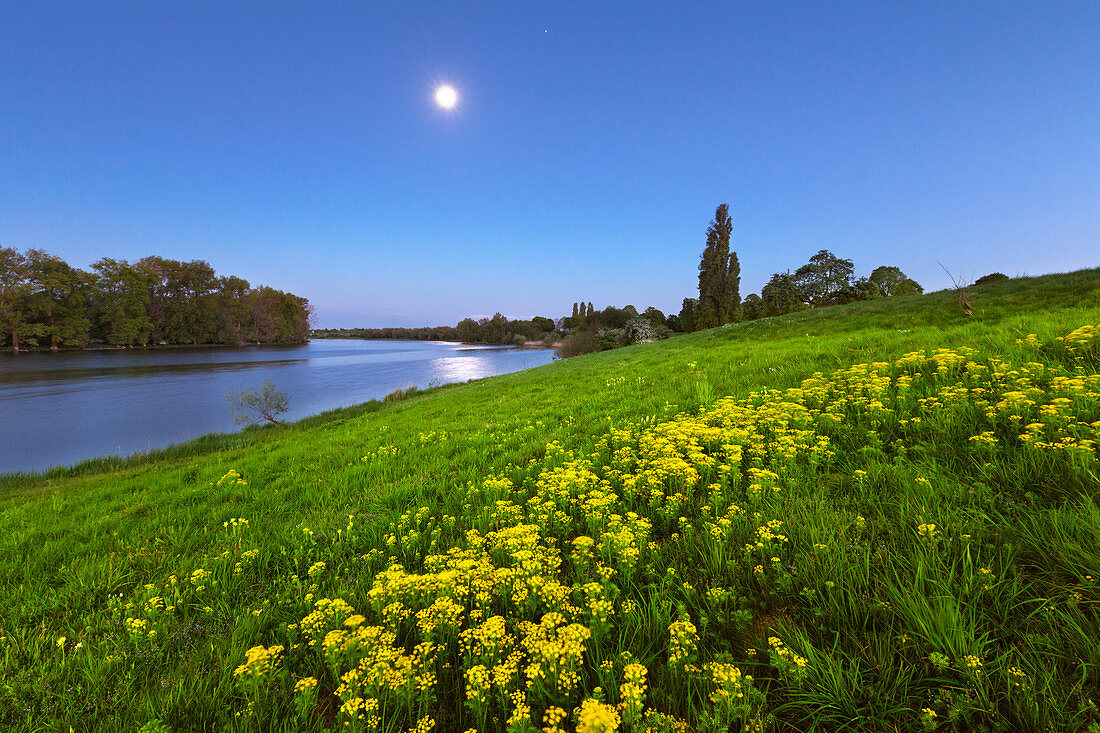 Full moon, Birtener Altrhein, old arm of the Rhine river, near Xanten, Lower Rhine, North-Rhine Westphalia, Germany
