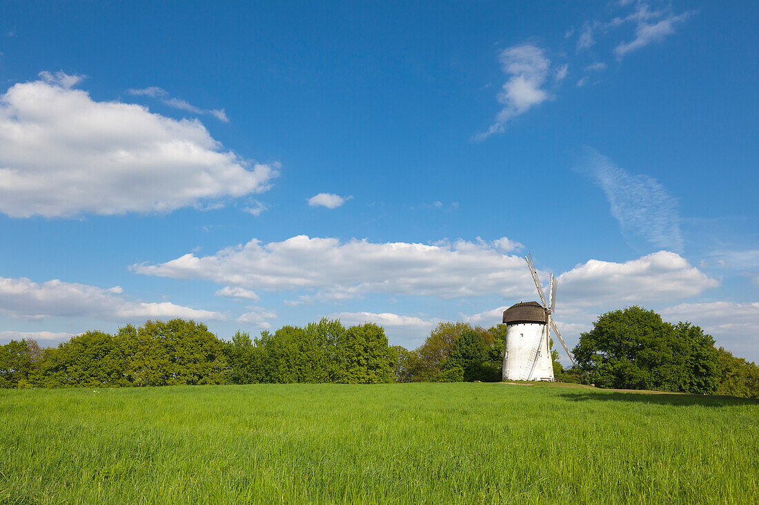 Engelsberg Windmühle bei Krefeld, Niederrhein, Nordrhein-Westfalen, Deutschland