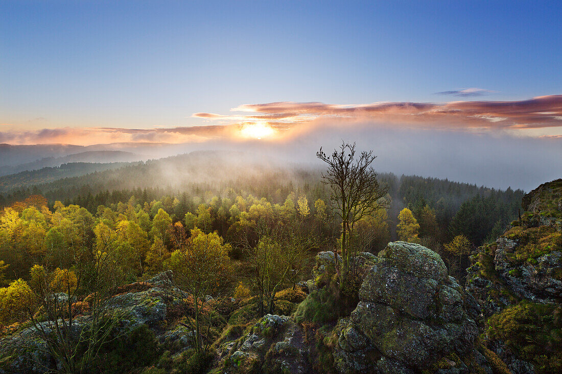 Morgennebel, Bruchhauser Steine, bei Olsberg, Rothaarsteig, Rothaargebirge, Sauerland, Nordrhein-Westfalen, Deutschland