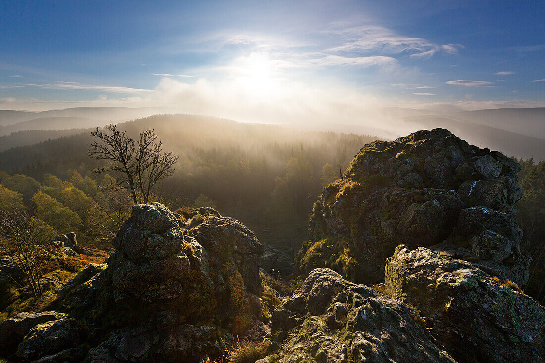 Morning mist, Bruchhauser Steine, near Olsberg, Rothaarsteig hiking trail, Rothaar mountains, Sauerland, North Rhine-Westphalia, Germany