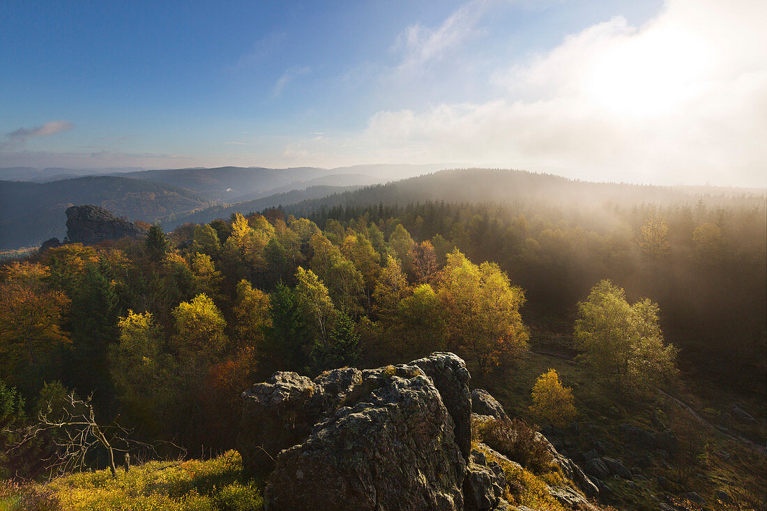 Morgennebel, Bruchhauser Steine, bei Olsberg, Rothaarsteig, Rothaargebirge, Sauerland, Nordrhein-Westfalen, Deutschland