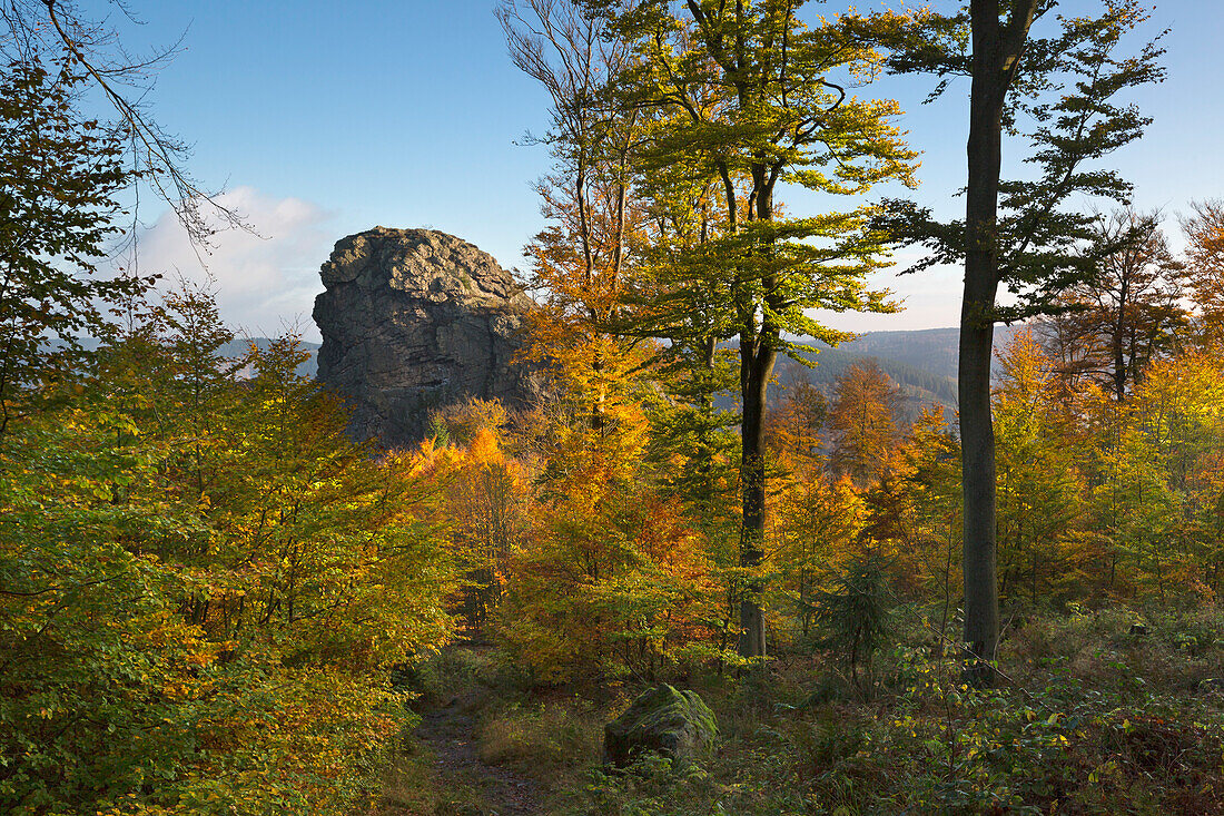 View to Bornstein rock, Bruchhauser Steine, near Olsberg, Rothaarsteig hiking trail, Rothaar mountains, Sauerland, North Rhine-Westphalia, Germany
