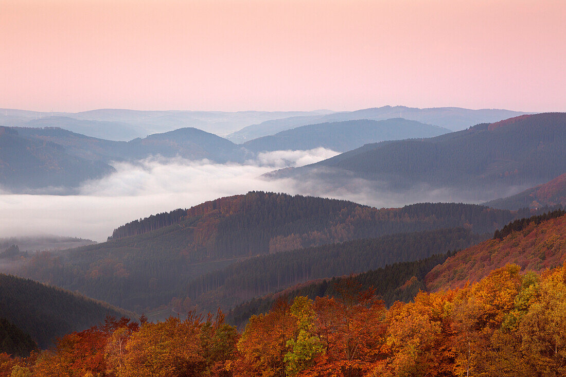 Morgennebel, Blick über die bewaldeten Höhenzüge, bei Wildewiese, Rothaargebirge, Sauerland, Nordrhein-Westfalen, Deutschland