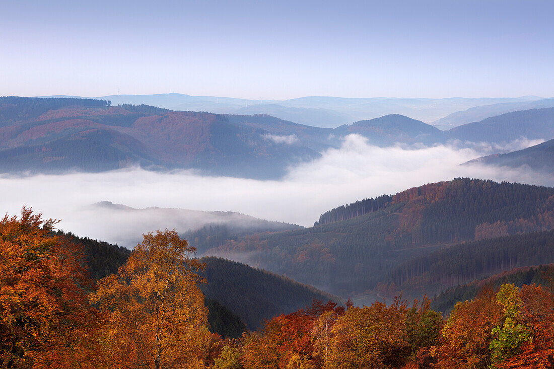 Morning mist, view over the woody hills, near Wildewiese, Rothaar mountains, Sauerland, North Rhine-Westphalia, Germany