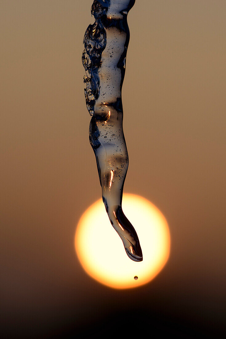 Schmelzender Eiszapfen vor der Sonne