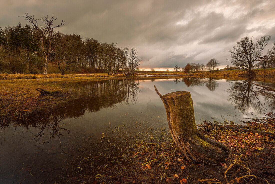 cloudy winter weather at a smal pond in Bavaria, Germany