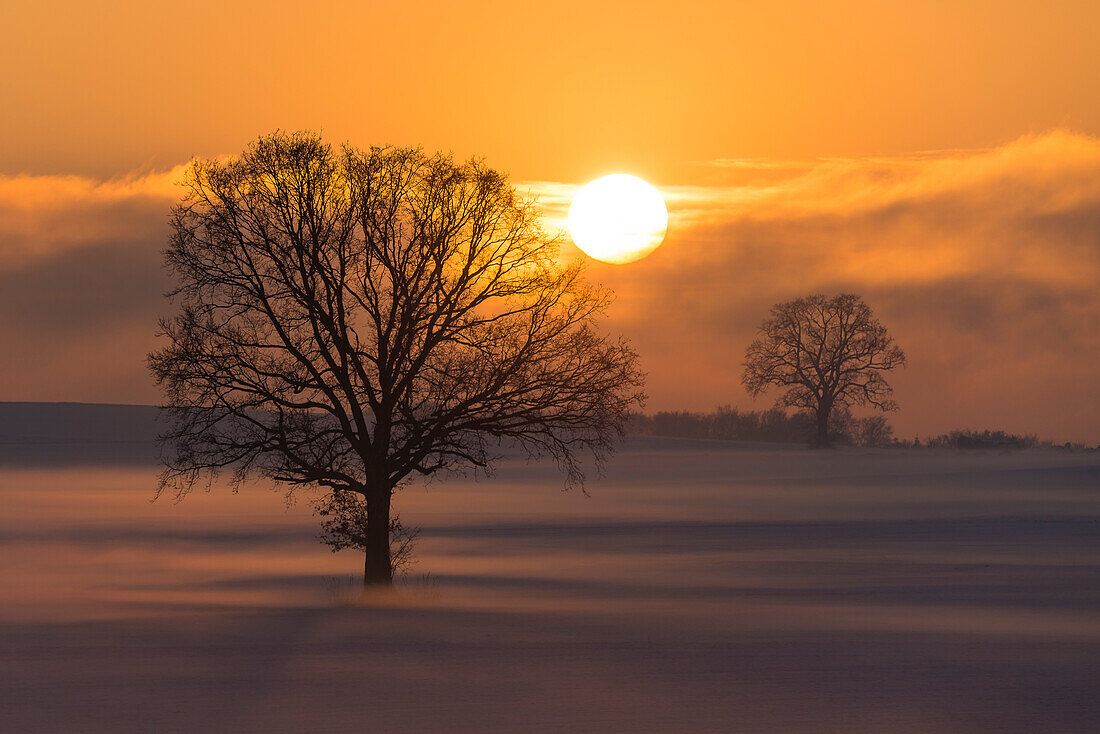 Sonnenuntergang im Winter bei Frieding, Bayern, Deutschland