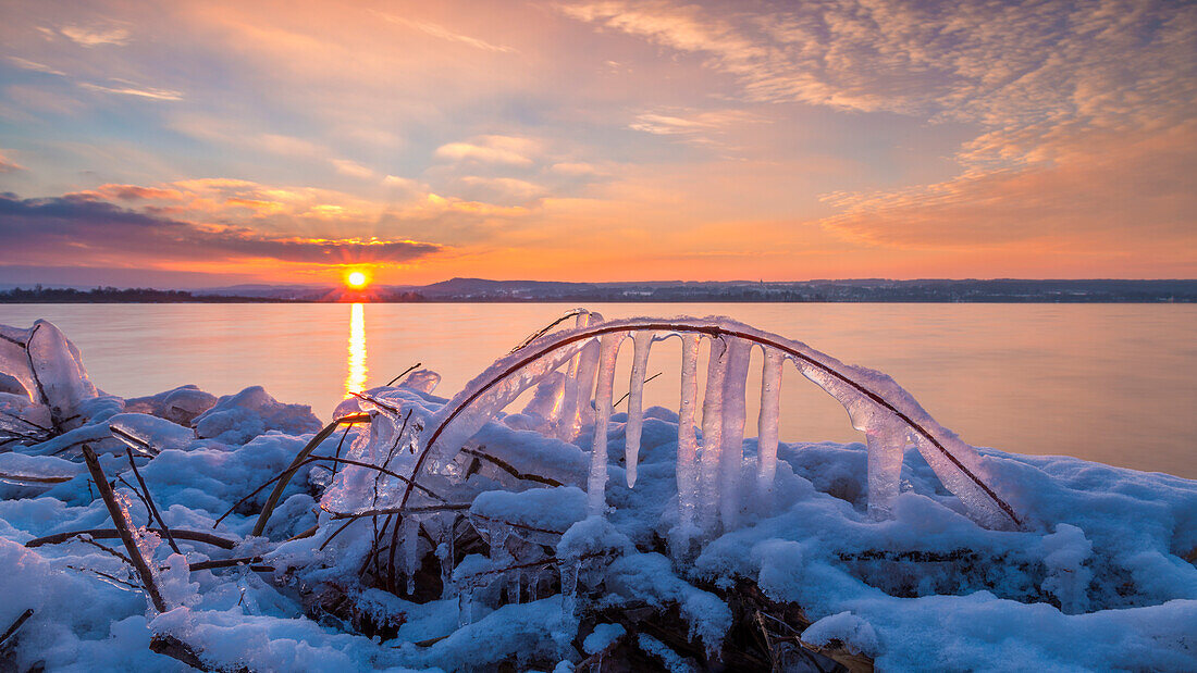 Eiszapfen an einem Ast am Ufer des Ammersees, Bayern, Deutschland