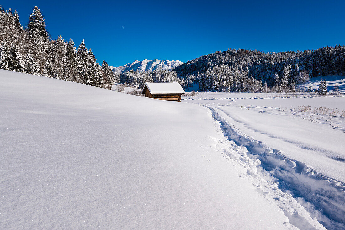 Spuren im frischen Neuschnee bei Gerold, Bayern, Deutschland
