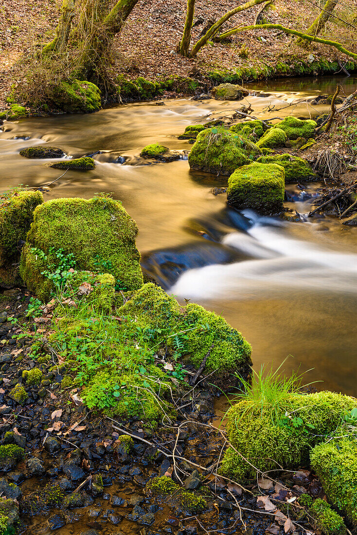 romantic little creek near Seefeld, Bavaria, Germany