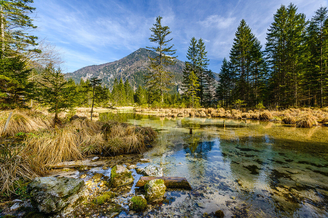 Bach im Brunntal, Wildalpen, Kärnten, Österreich