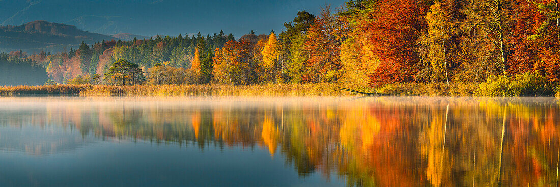 autumn at lake Ostersee, Bavaria, Germany