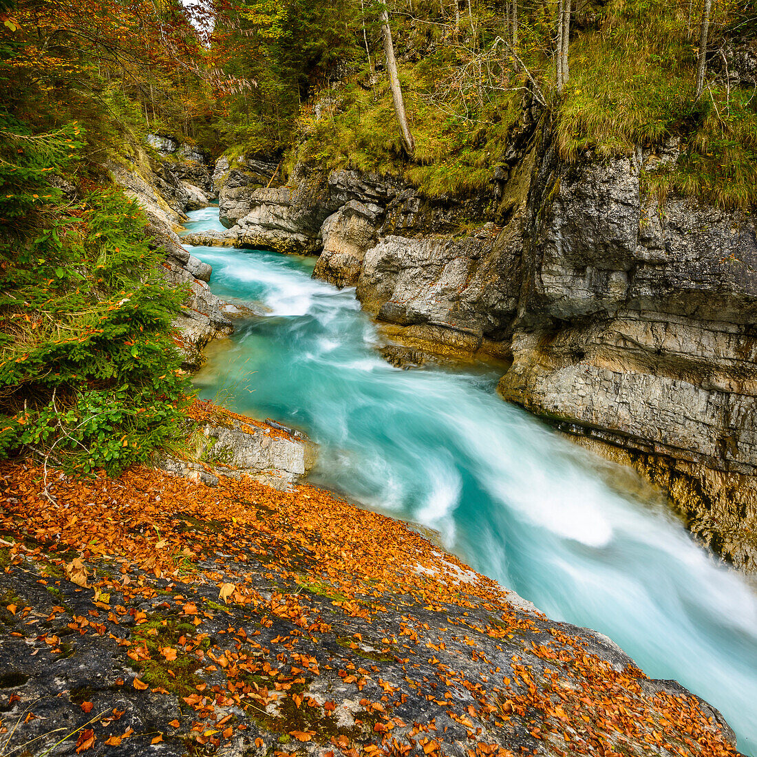 Riß valley in autumn, Karwendel region, Tirol, Austria