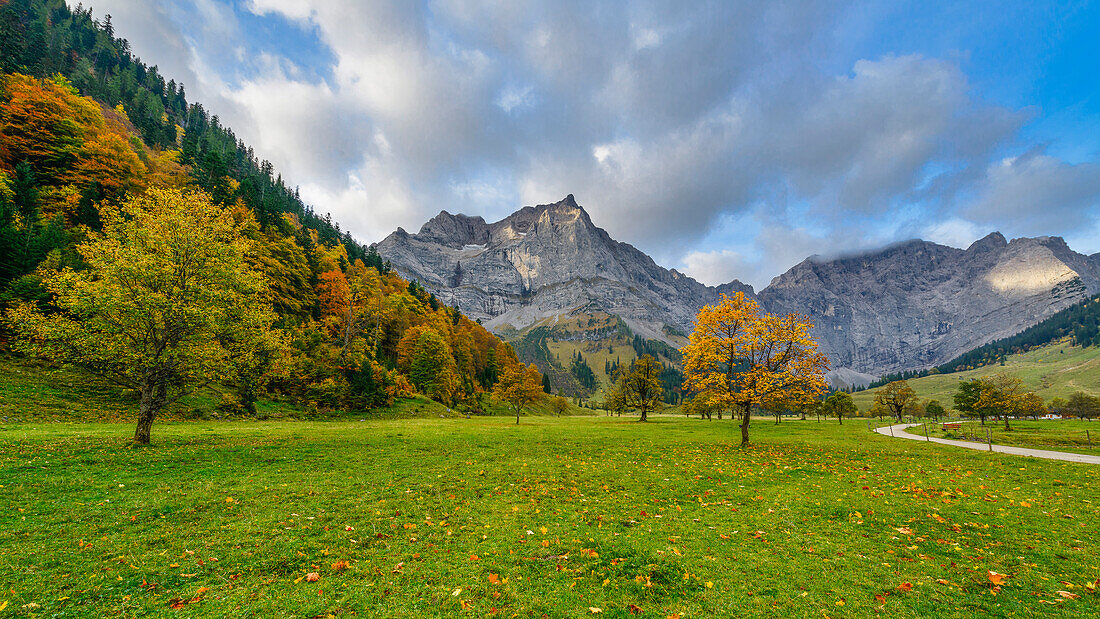 Ahorn im Herbst vor der Bergkulisse des Karwendel, großer Ahornboden, Tirol, Österreich
