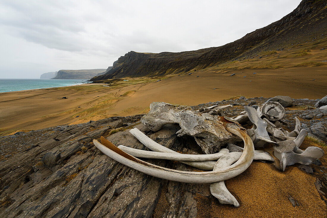 Walfischknochen vor einem Sandstrand an der Westküste Islands