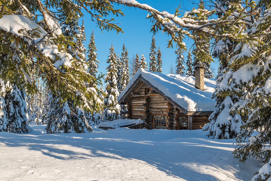 Gemütliche Blockhütte im Nadelwald, Luosto, finnisch Lappland
