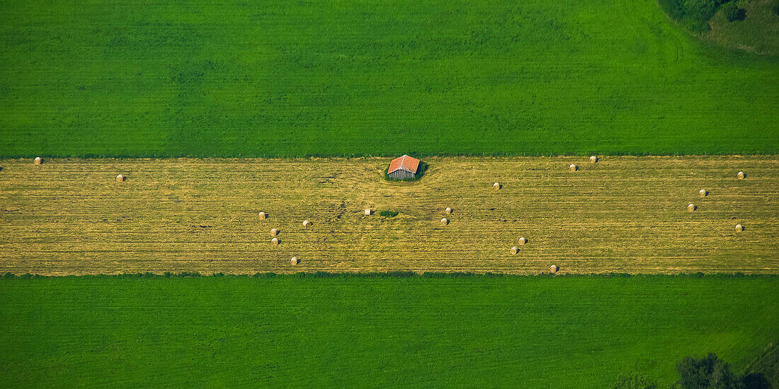 Luftbild einer Scheune in einem frisch gemähten Feld, Bayern, Deutschland