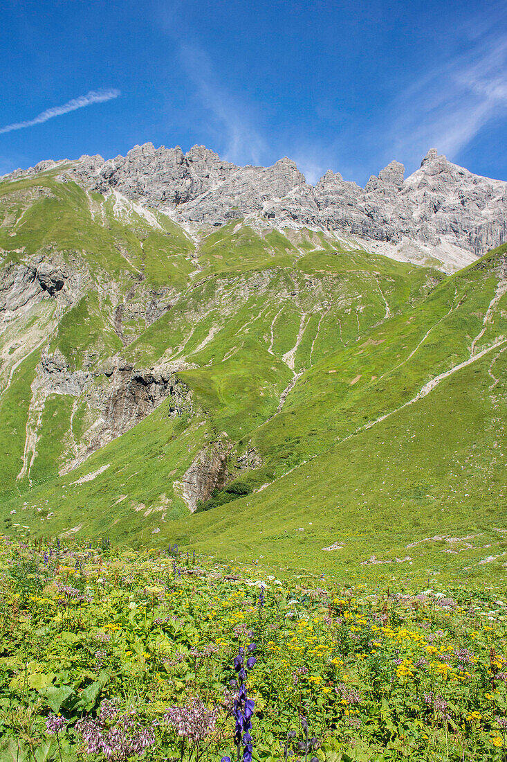Long Distance Hiking, Mountain Landscape, Summit, Hiking Holiday, Nature, Summer Meadow, Flower Meadow, Alpine Meadow, Hiking Trails, Allgaeu, Alps, Bavaria, Oberstdorf, Germany