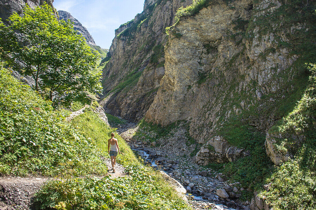 Fernwanderweg, Berglandschaft, Wasserlauf, Bergfluss, Schlucht, Wanderurlaub, Natur, Hüttentour, Sommerblumen, Alpine Wiese, Wanderwege, Oberallgäu, Alpen, Bayern, Oberstdorf, Deutschland