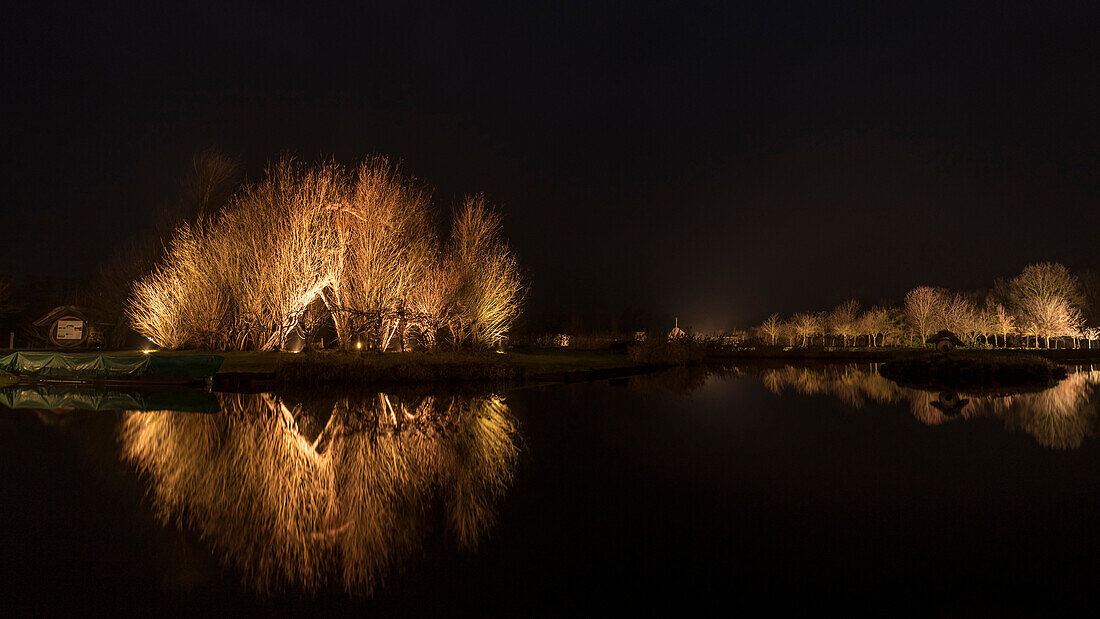 Biosphere Reserve Spreewald, Germany, Hiking, Kayaking, Recreation Area, Family Vacation, Family Outing, Paddling, Rowing, Wilderness, Day Trip, River Landscape, Willow Dome, Nutria, Pond, Harbor, Winter Night, Pastures, Water Reflection, Home Feeling