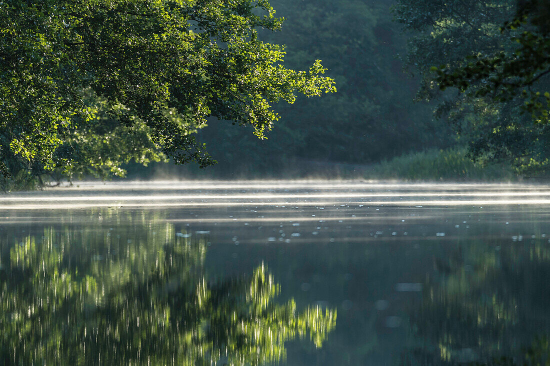 Spreewald Biosphere Reserve, Brandenburg, Germany, Kayaking, Recreation Area, River Landscape, Water Reflection and mist in the early morning, Wilderness