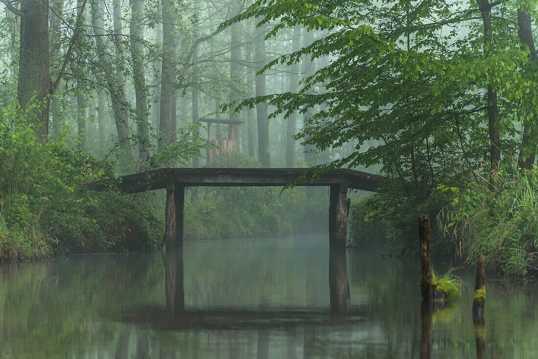 Biosphärenreservat Spreewald, Unterspreewald, Brandenburg, Deutschland, Kajaktouren, Naherholungsgebiet, Wildnis, Flusslandschaft im Morgennebel, Einsamkeit, Wasserspiegelung, Sonnenaufgang