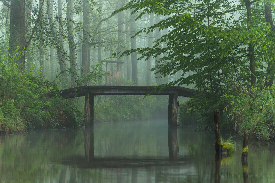 Spreewald Biosphere Reserve, Germany, kayaking, Recreation Area, Wilderness, River Landscape in the morning mist, Solitude, Water reflection at sunrise