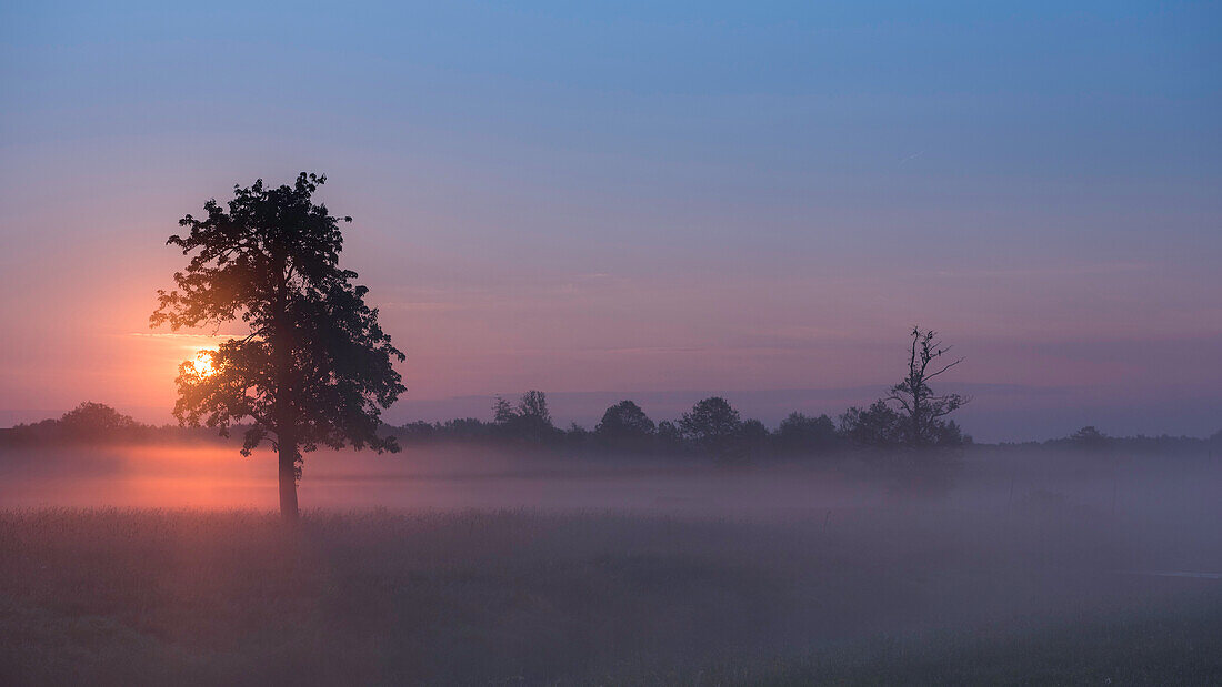 Biosphärenreservat Spreewald, Unterspreewald, Brandenburg, Deutschland, Naherholungsgebiet, Wildwiese, Weide, Wildnis, Sommerwiese im Morgengrauen, Sonnenaufgang, Morgennebel, Nebel, Morgenröte