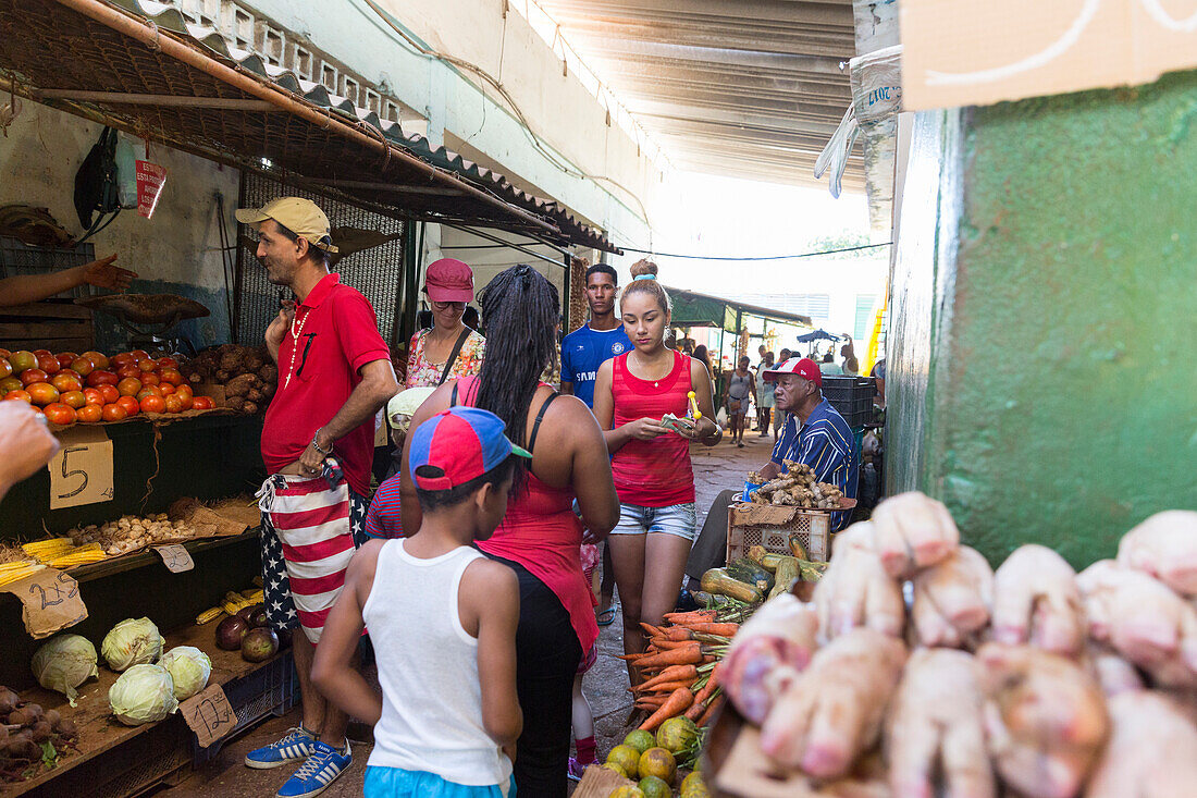 Vegetable stand, in Habana Vieja in the early morning, historic town, center, old town, family travel to Cuba, holiday, time-out, adventure, Havana, Cuba, Caribbean island