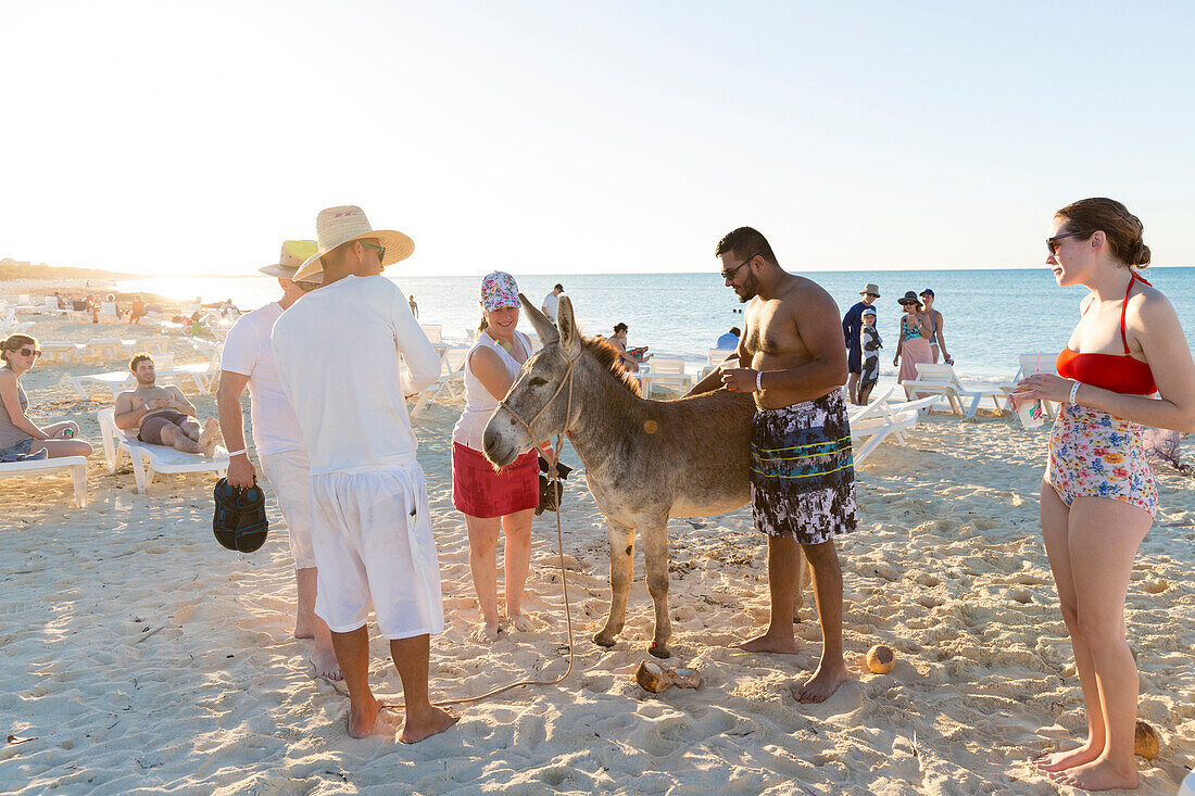 tourists with donkey on the beach of Cayo Coco, sandy dream beach, turquoise blue sea, boat, snorkeling, swimming, Memories Flamenco Beach Resort, hotel, family travel to Cuba, parental leave, holiday, time-out, adventure, Cayo Coco, Jardines del Rey, Pro