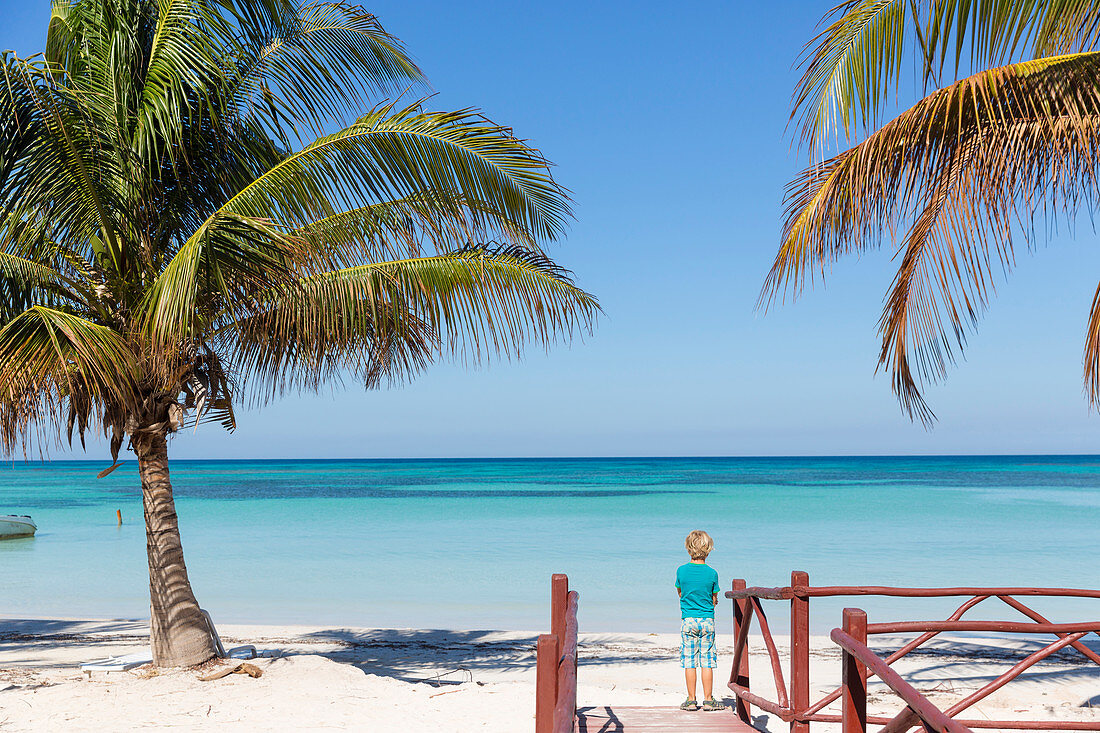 6 year old boy on a lonely dream beach, beautiful small sandy beach, turquoise blue sea, palm tree, family travel to Cuba, parental leave, holiday, time-out, adventure, Cayo Jutias, near Santa Lucia and Vinales, Pinar del Rio, Cuba, Caribbean island