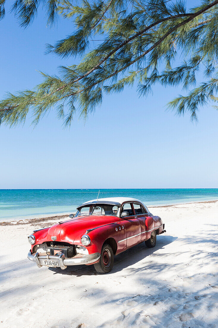 Red oldtimer on the beach of Cayo Jutias, beach holiday, lonely dream beach, beautiful small sandy beach, turquoise blue sea, palm tree, family travel to Cuba, parental leave, holiday, time-out, adventure, Cayo Jutias, near Santa Lucia and Vinales, Pinar 