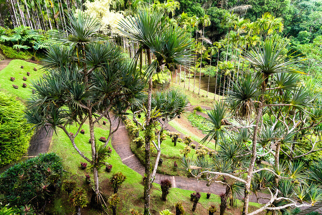 Botanical garden of Balata, Martinique, France