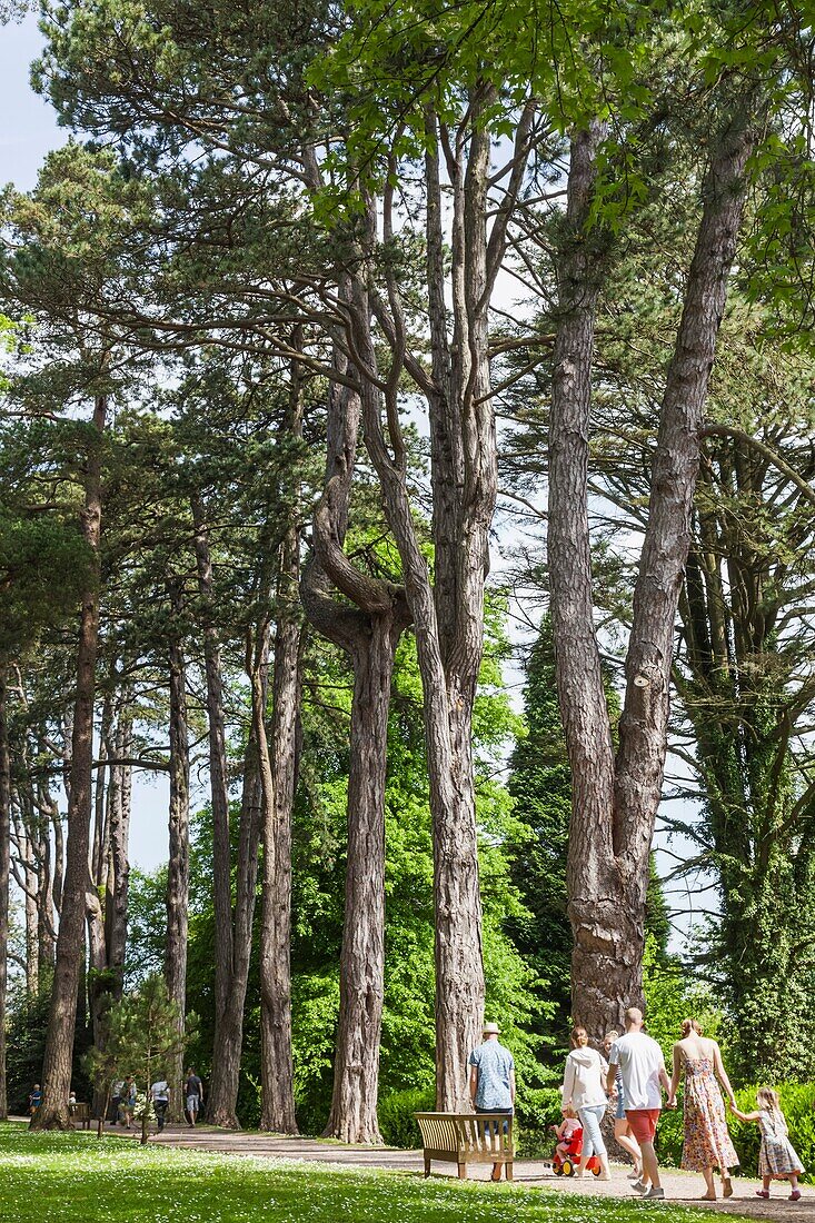 Wales, Cardiff, St Fagan's, Museum of Welsh Life, Tourists Walking Through Woods