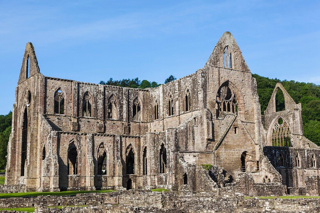 Wales, Monmouthshire, Tintern Abbey